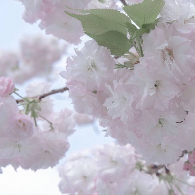 兽设设计灵感合集兽圈社群